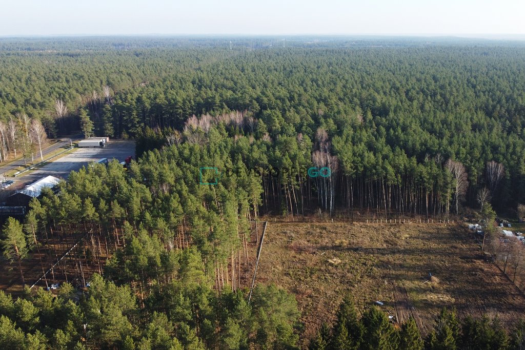 Działka budowlana na sprzedaż Sobolewo  1 540m2 Foto 7