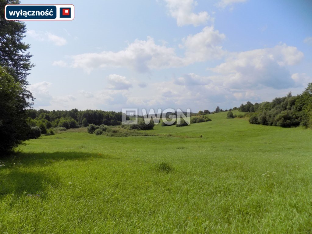 Działka inna na sprzedaż Płociczno  106 027m2 Foto 4