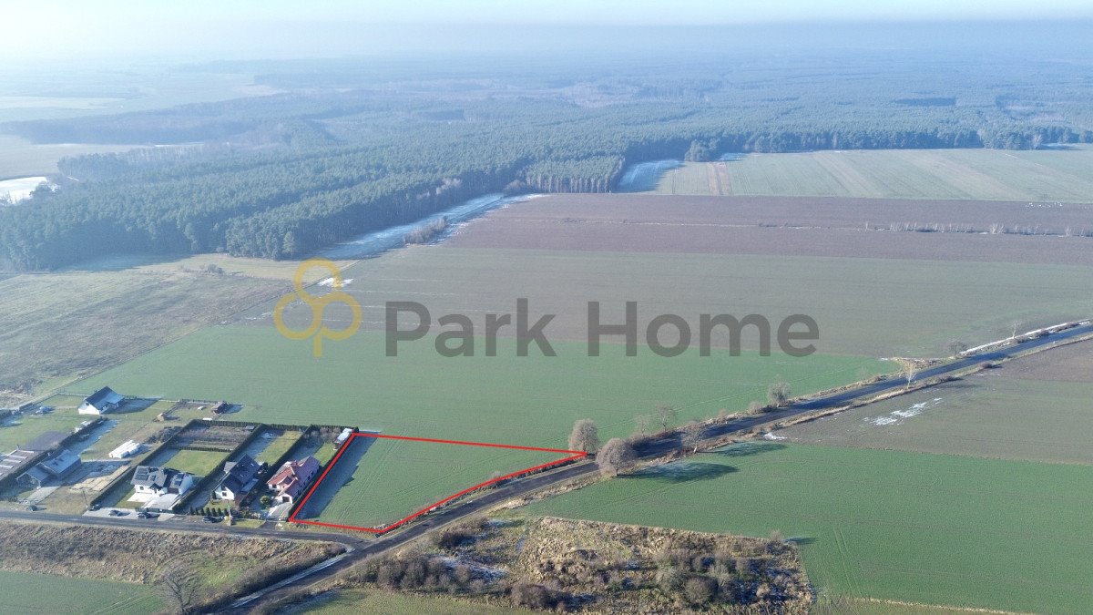 Polecam dużą działkę 3156 m² z warunkami zabudowy i dostępem asfaltowym Kotla  3 156m2 Foto 1