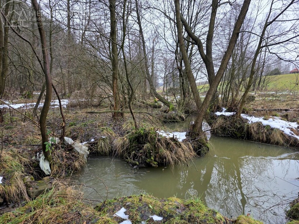Działka rolna na sprzedaż Olszyny  4 400m2 Foto 1