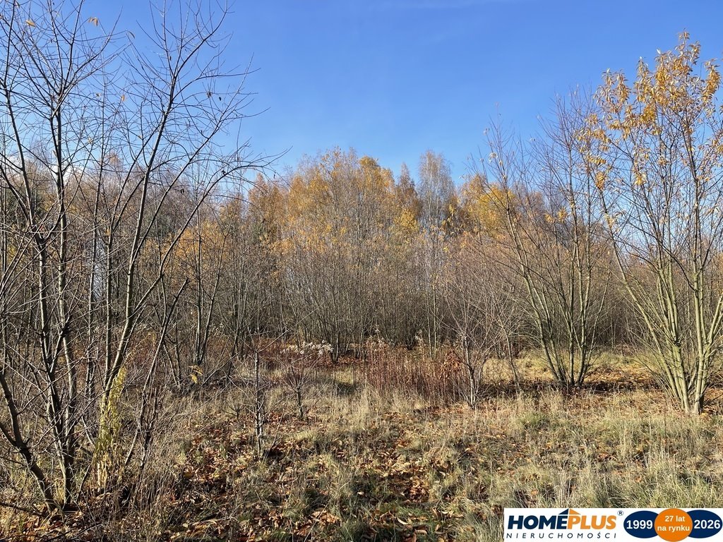 Działka budowlana 5428 m² w spokojnej okolicy z mediami Słupno  5 428m2 Foto 1