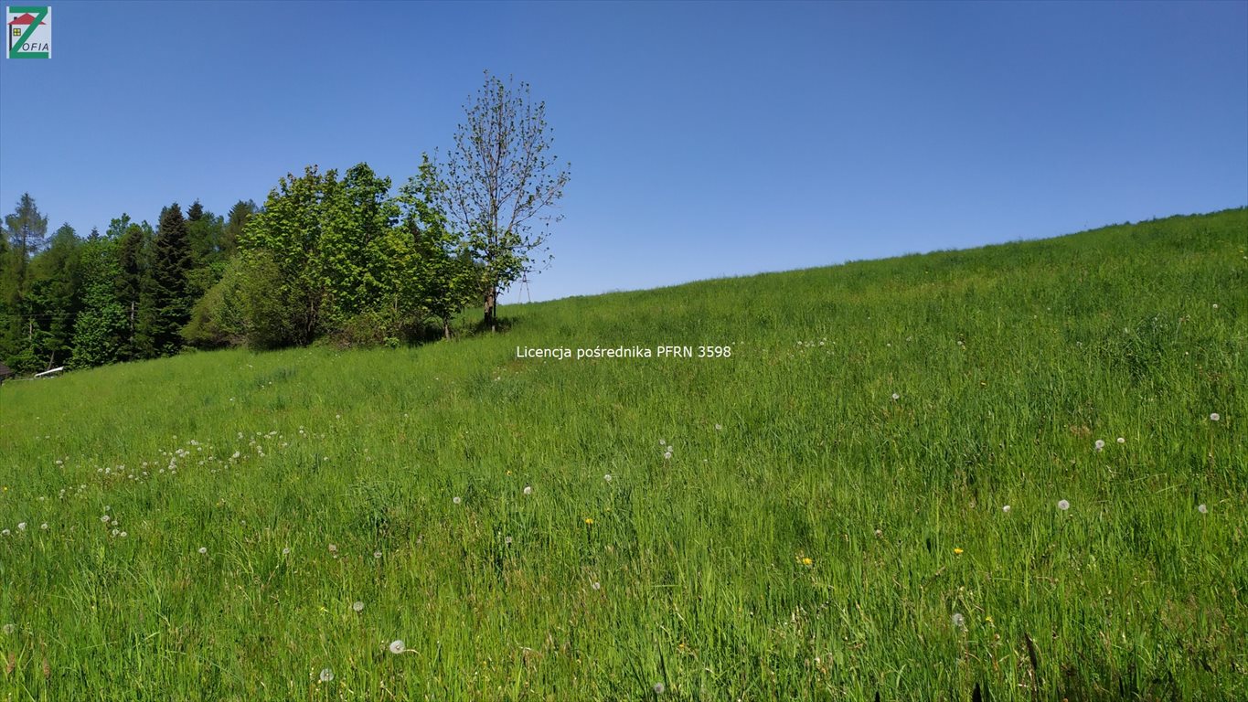 Działka budowlana na sprzedaż RABA-WYŻNA  1 200m2 Foto 3