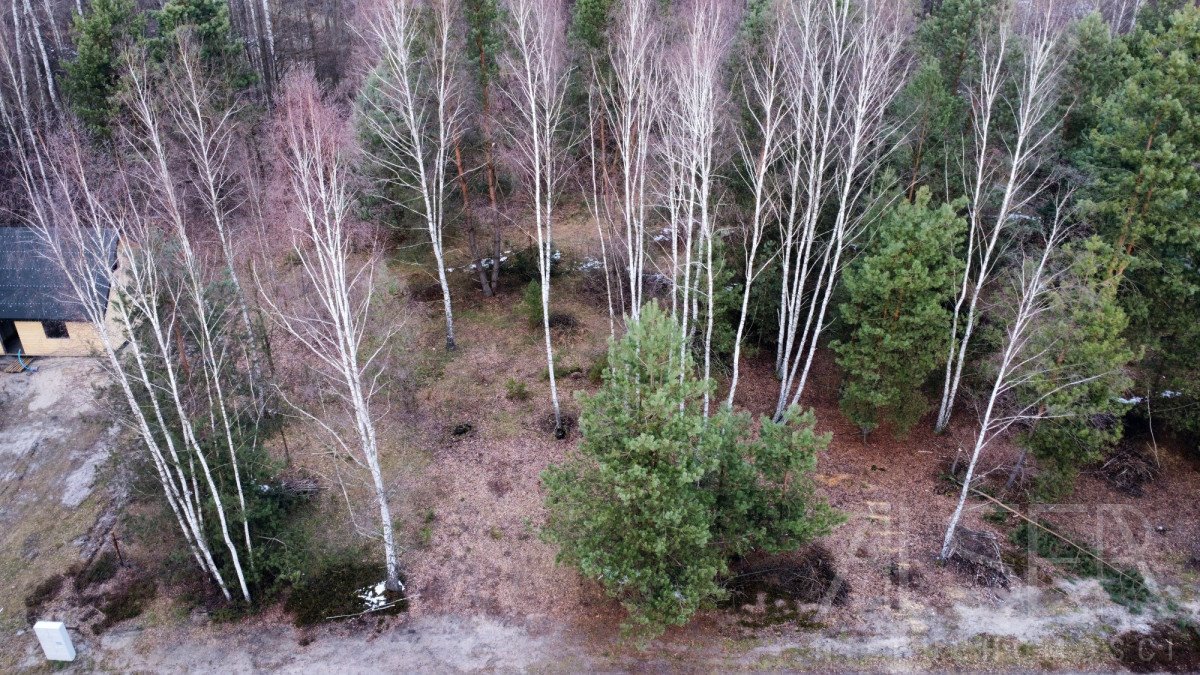 Działka budowlana na sprzedaż Ławki, Wrzosowa  1 000m2 Foto 3