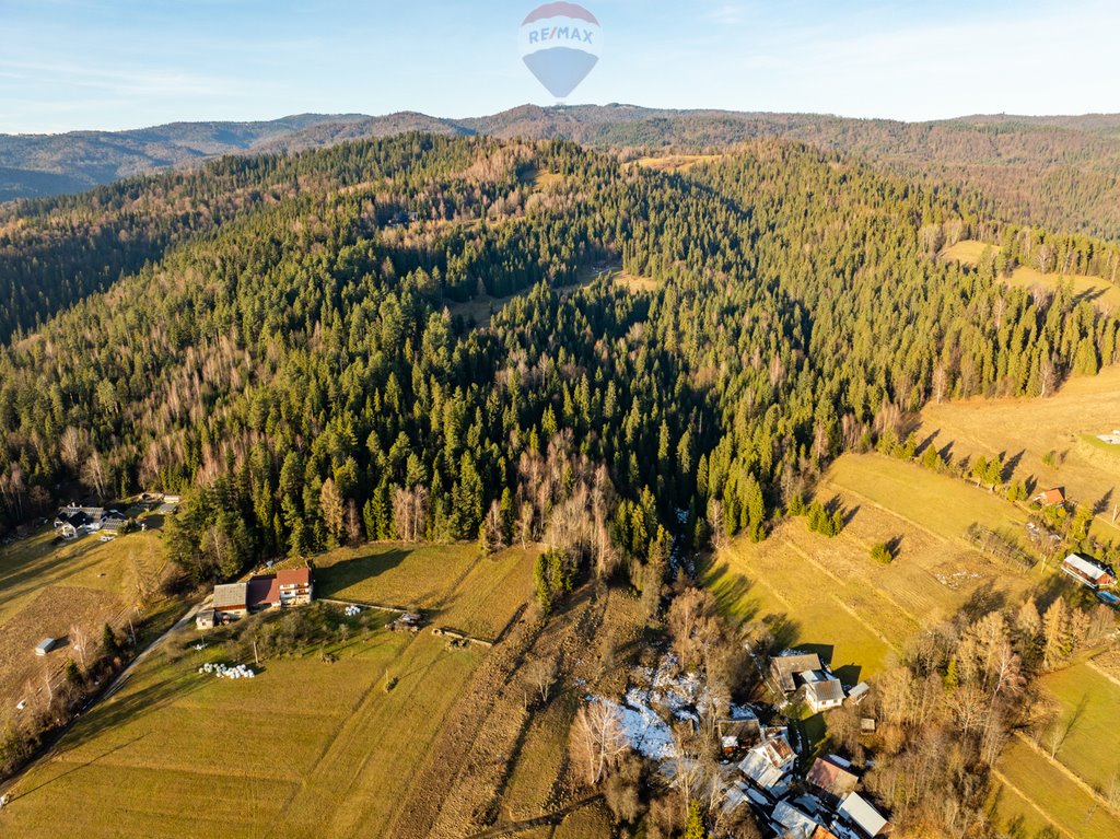 Las na sprzedaż w Harklowej, 9068 m², częściowa sprzedaż Harklowa  9 068m2 Foto 1