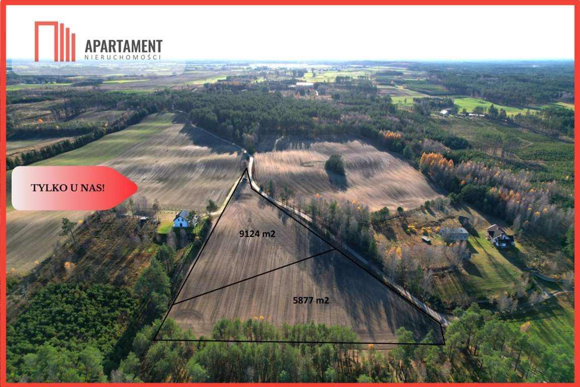 Polecam dużą działkę 5877 m² z możliwością zabudowy w otoczeniu natury Małe Chełmy  5 877m2 Foto 1