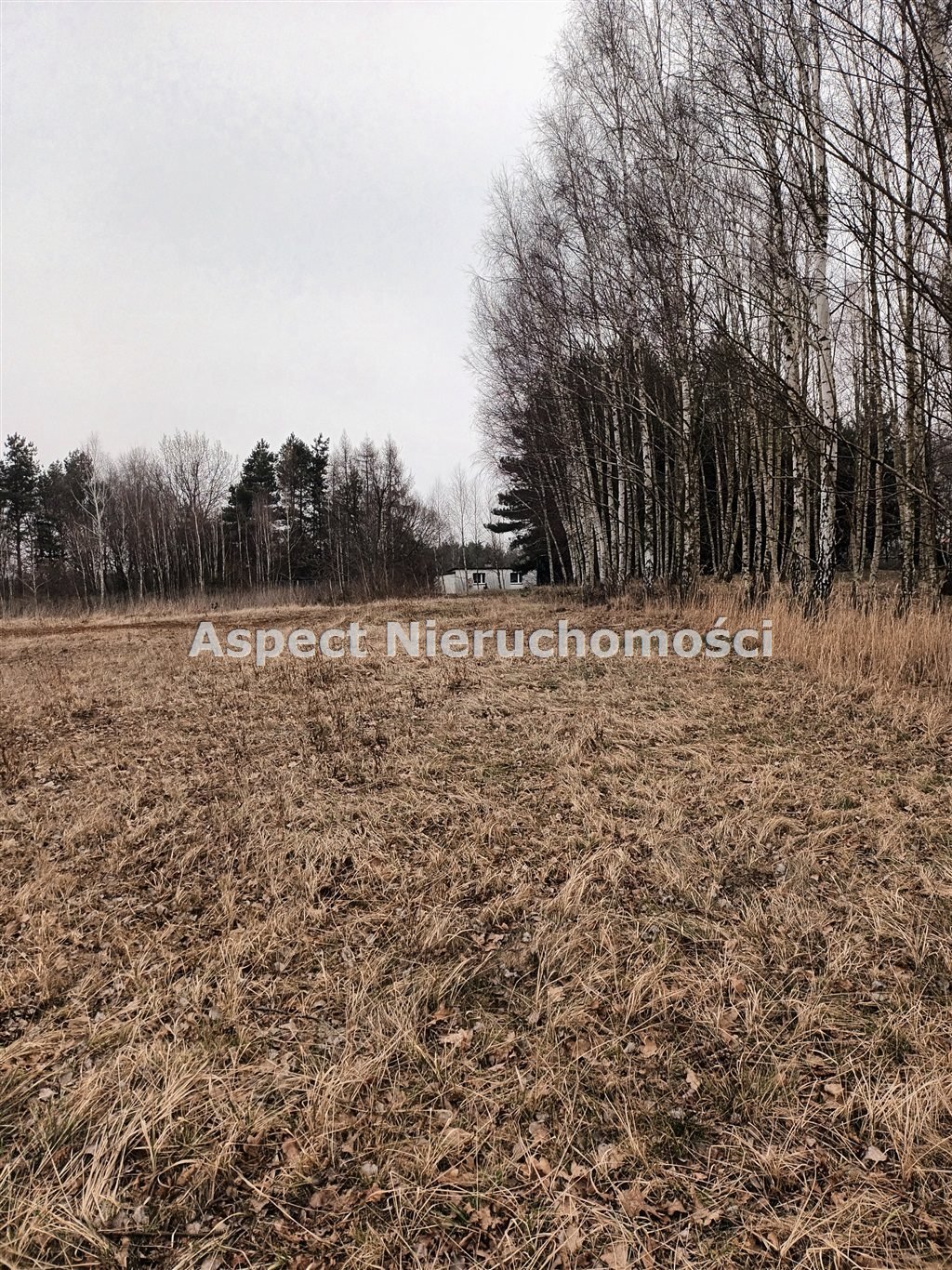 Działka budowlana na sprzedaż Rybnik, Popielów  934m2 Foto 1
