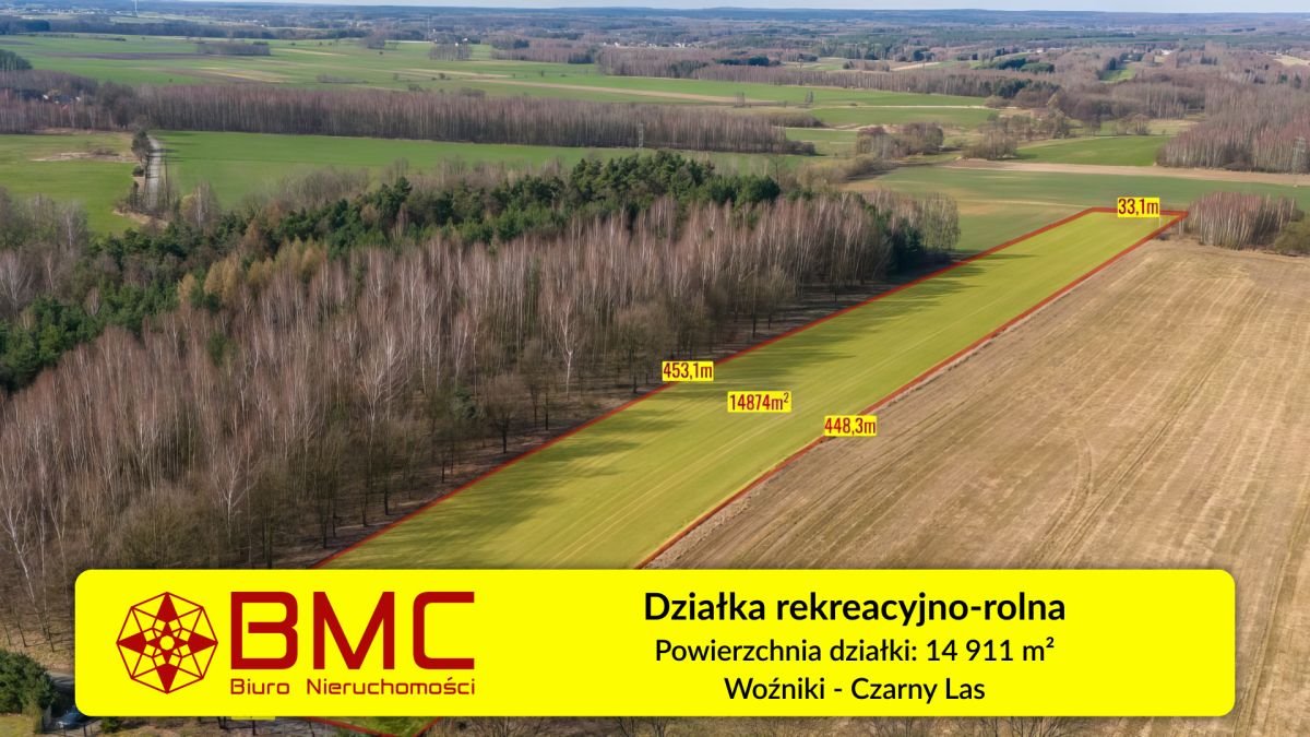 Działka rekreacyjna na sprzedaż Woźniki, Czarny Las, Czarny Las  14 911m2 Foto 1