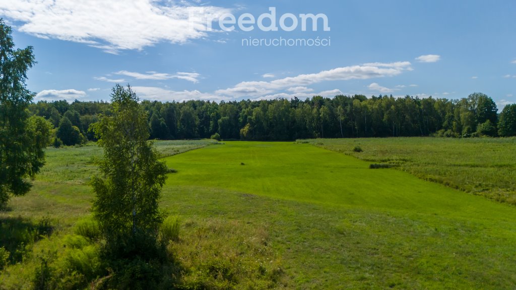 Działka rolna na sprzedaż Mirowice  3 264m2 Foto 2