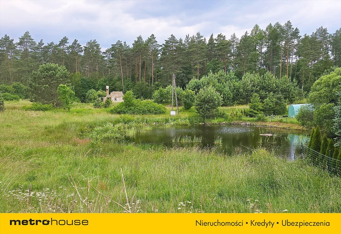 Działka inna na sprzedaż Leśniewo, Piaskowa  6 500m2 Foto 15