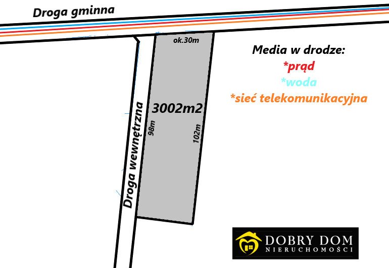 Działka inna na sprzedaż Lewickie  3 002m2 Foto 2