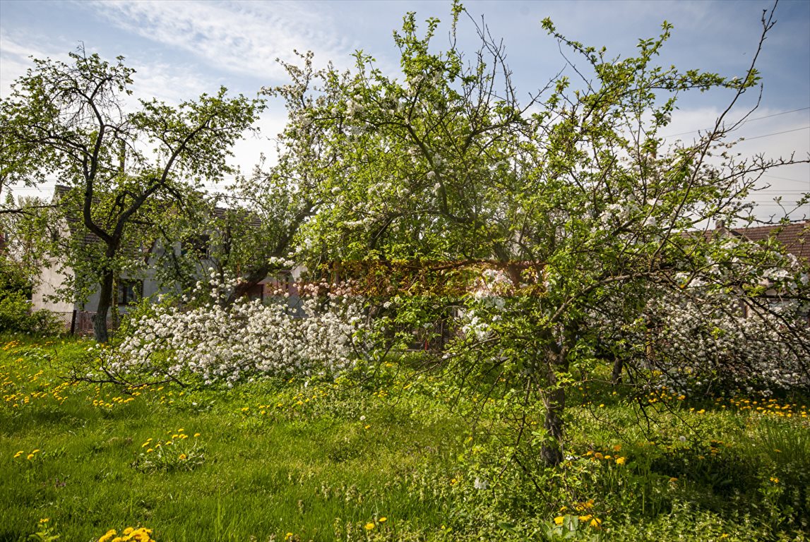 Dom na sprzedaż Opole, Nowa Wieś Królewska  150m2 Foto 8