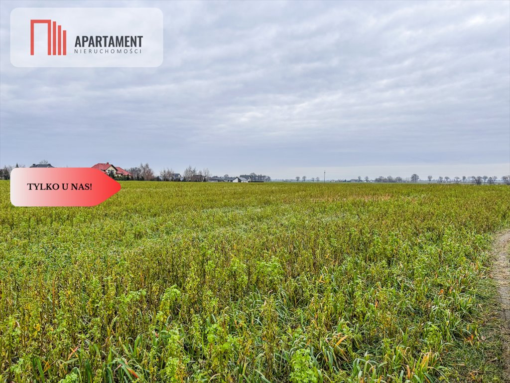 Działka 5515 m2 pod dom, deweloper, jezioro, prąd Łubianka  5 515m2 Foto 1