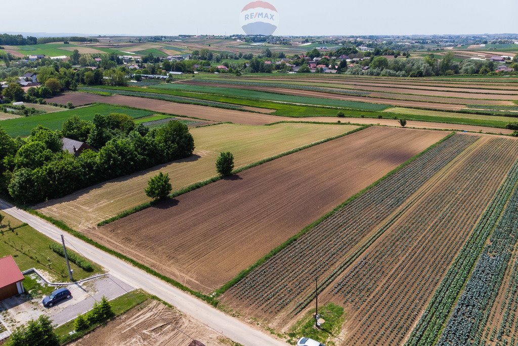 Działka budowlana na sprzedaż Stręgoborzyce  5 330m2 Foto 11