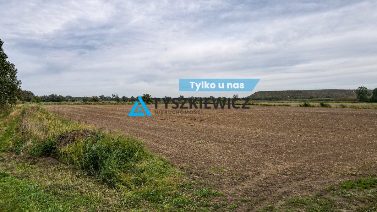 Działka inwestycyjna na sprzedaż Wiślinka, Polna  68 500m2 Foto 1