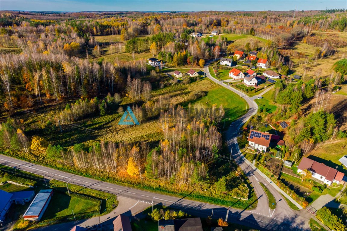 Działka inwestycyjna na sprzedaż Studzienice  10 400m2 Foto 6