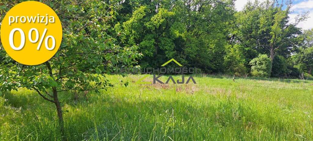Dom na sprzedaż Dobrzęcin  75m2 Foto 9