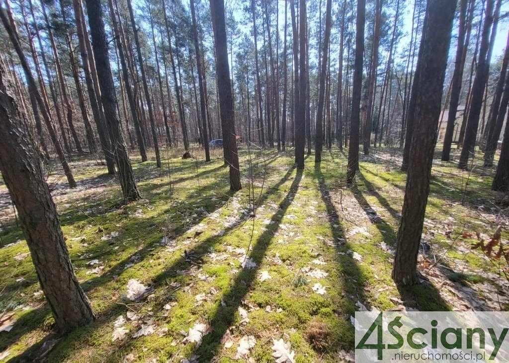 Działka budowlana na sprzedaż Siestrzeń  1 731m2 Foto 1