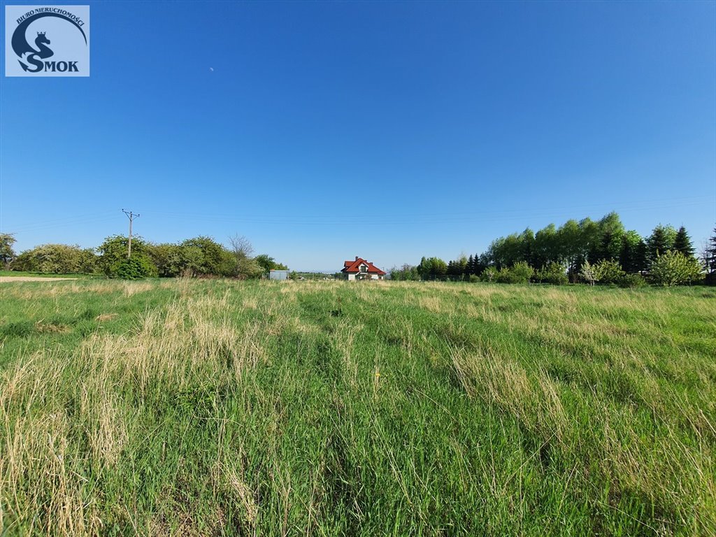 Działka budowlana na sprzedaż Zelków  3 860m2 Foto 1