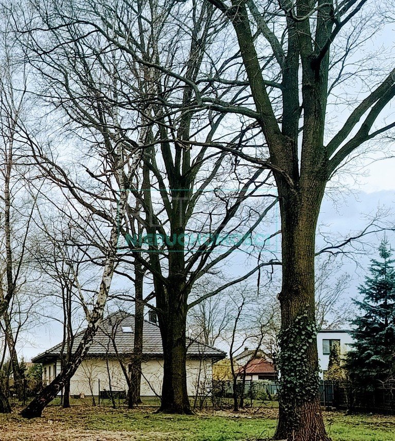 Działka budowlana na sprzedaż Grodzisk Mazowiecki  1 100m2 Foto 2