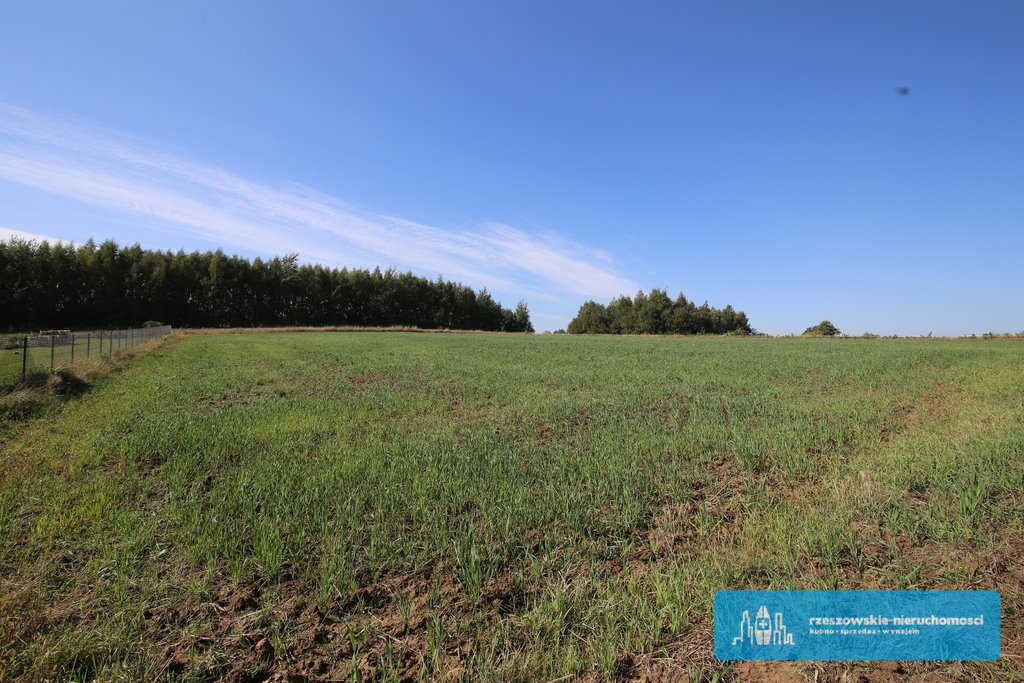 Działka budowlana na sprzedaż Niechobrz  5 000m2 Foto 1