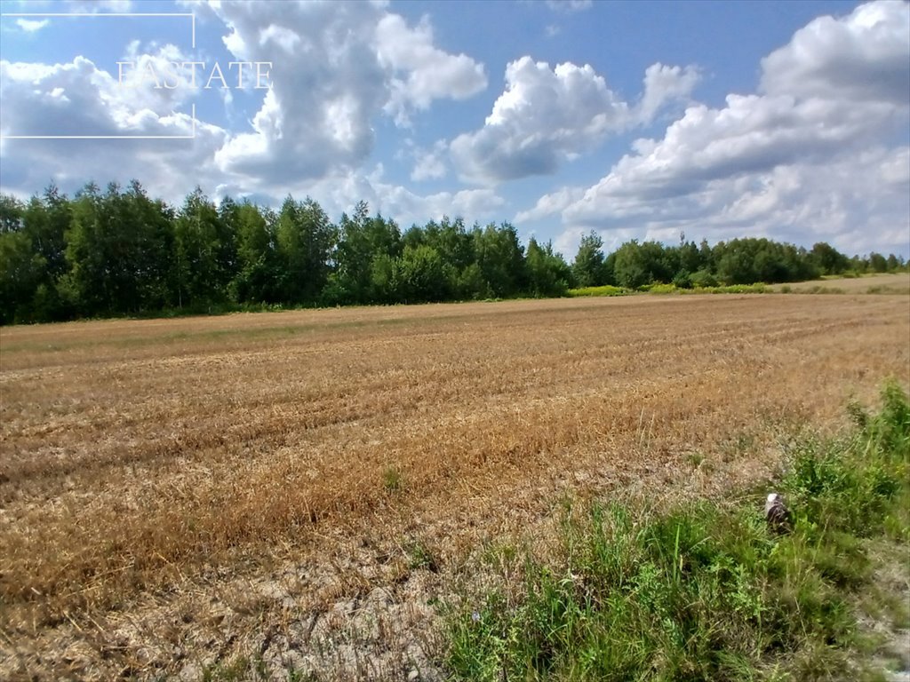 Działka budowlana na sprzedaż Krze Duże  5 700m2 Foto 8