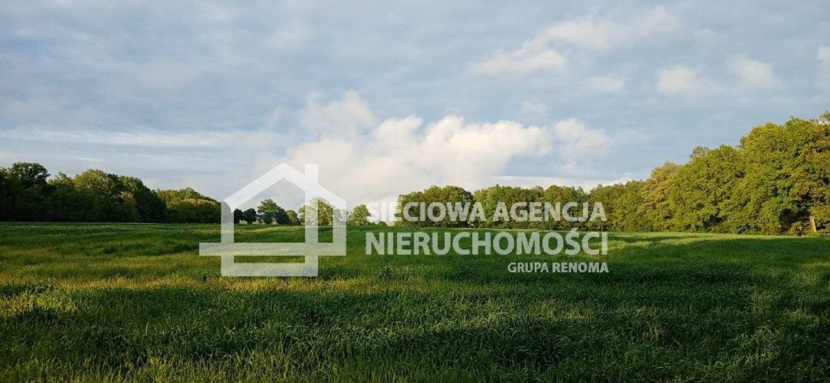Działka rolna 12 523 m² w Wilkowie Nowowiejskim zapraszam Wilkowo Nowowiejskie  12 523m2 Foto 1