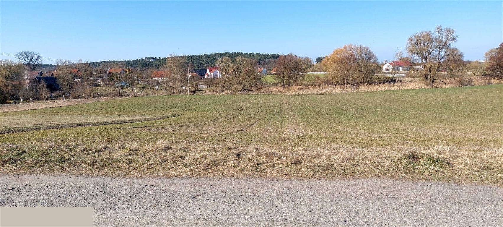 Działka 6447 m² pod zabudowę w Jordanowie (możliwość podziału) Jordanowo  6 447m2 Foto 1