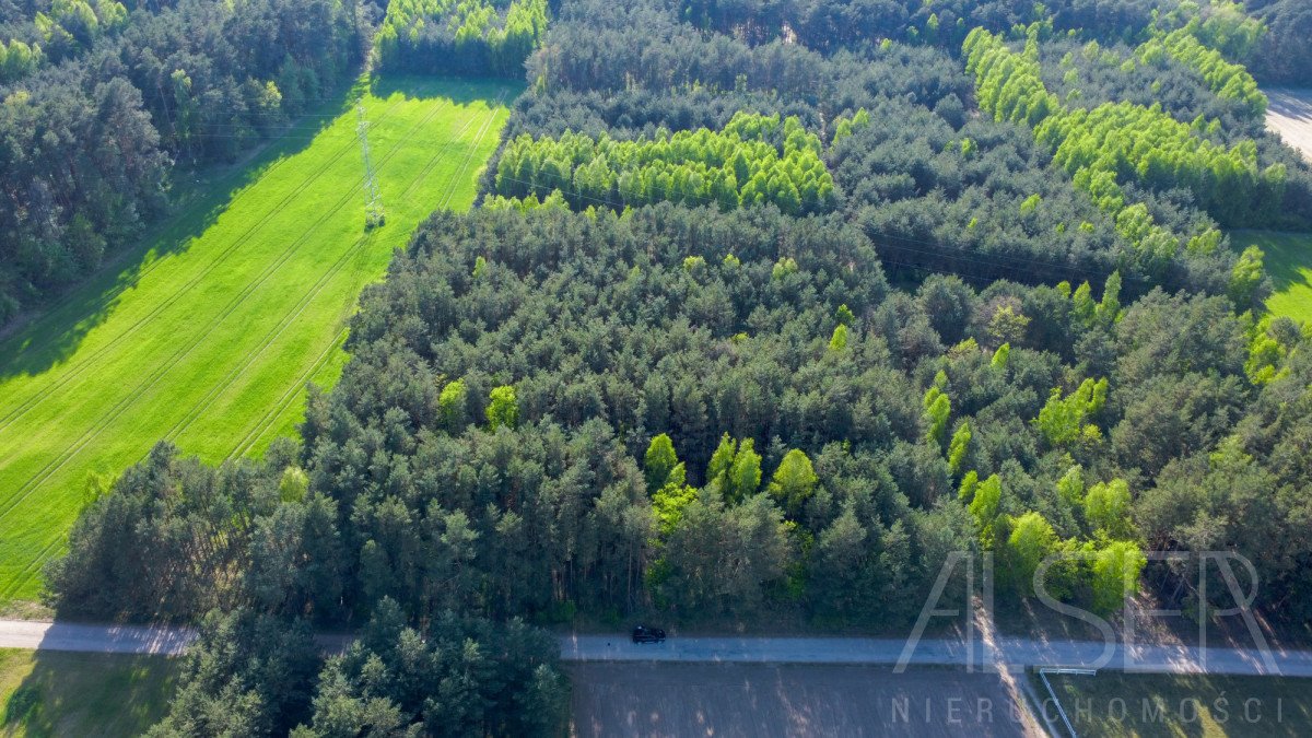 Działka rekreacyjna na sprzedaż Nowe Bosewo, Lipnik  1 245m2 Foto 10