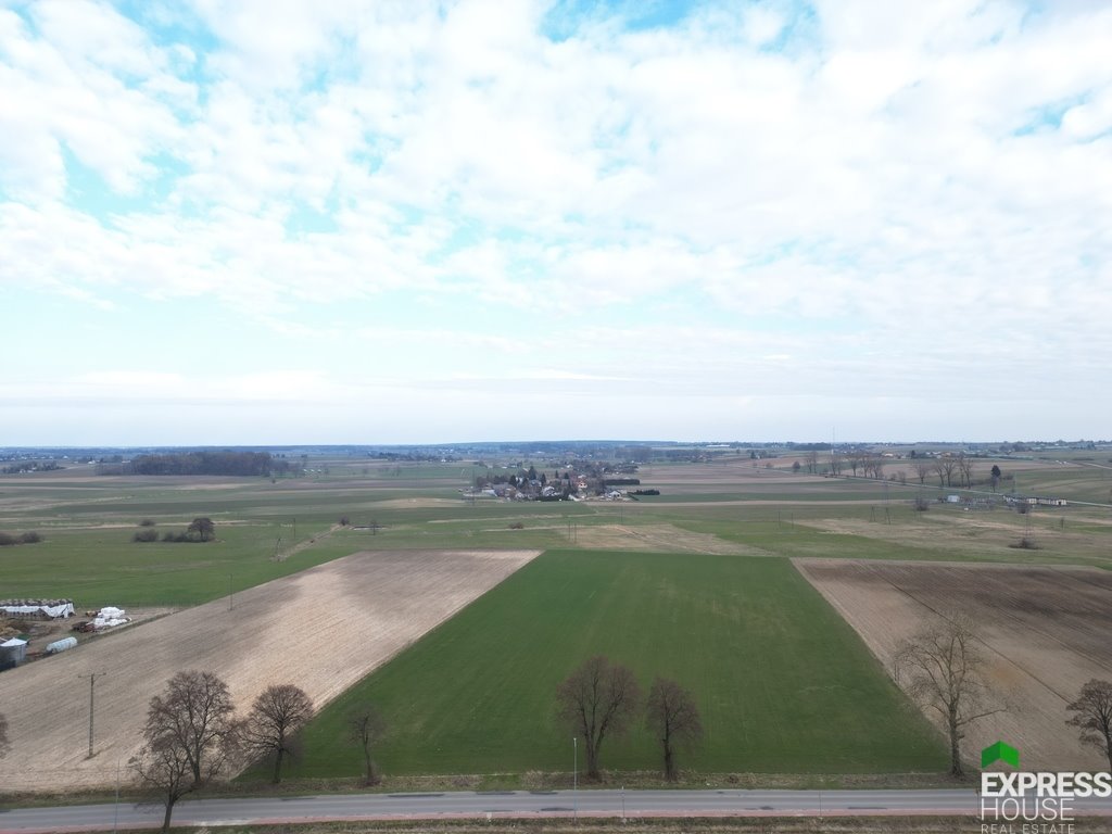 Działka budowlana na sprzedaż Bogucin  26 200m2 Foto 12