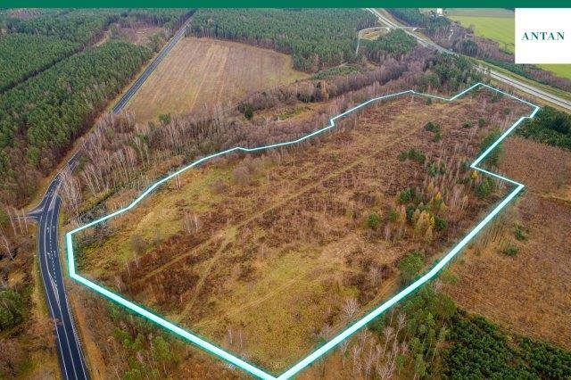 Działka inwestycyjna 98 ha pod logistykę i produkcję Strzelno, Zgorzelecka  98 100m2 Foto 1