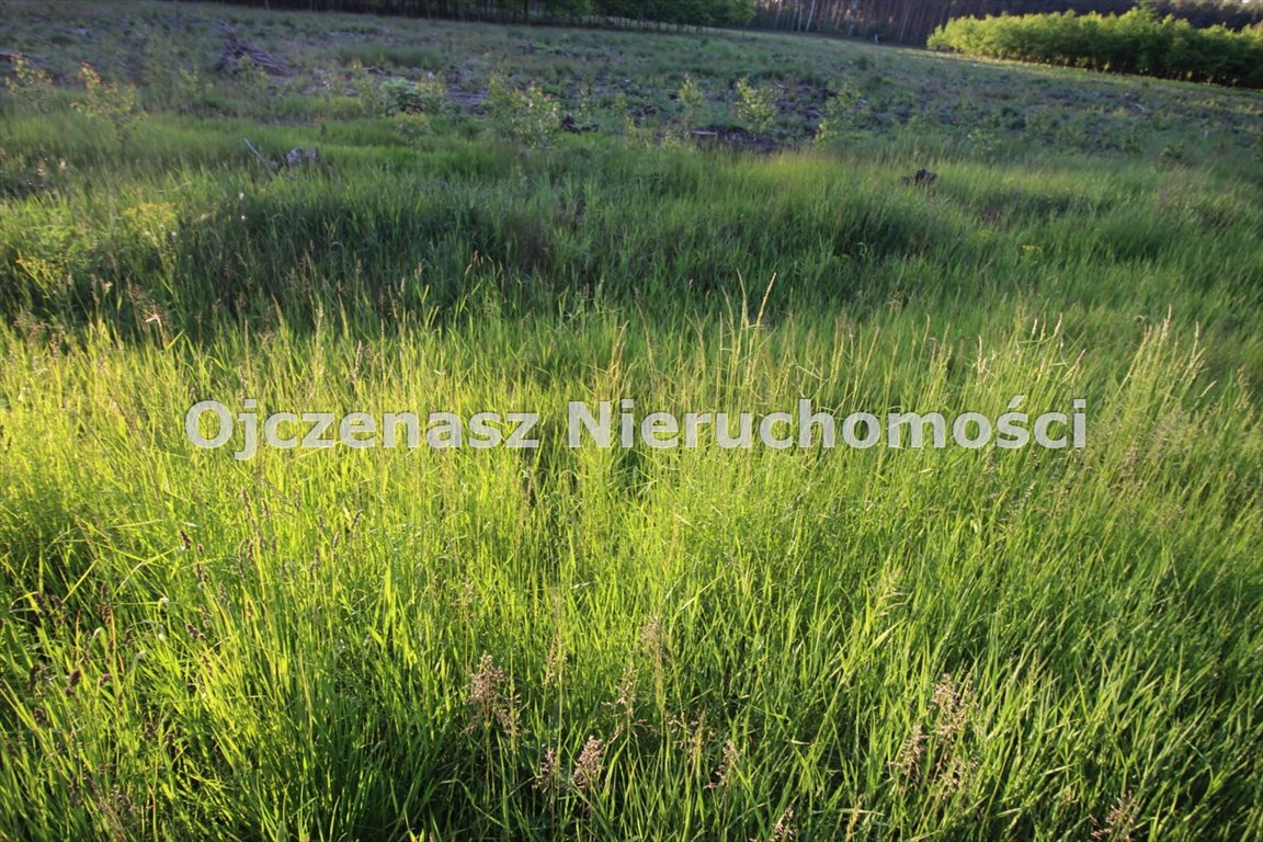 Działka budowlana 1079 m2 pod dom w Zamościu, las, media Zamość  1 079m2 Foto 1