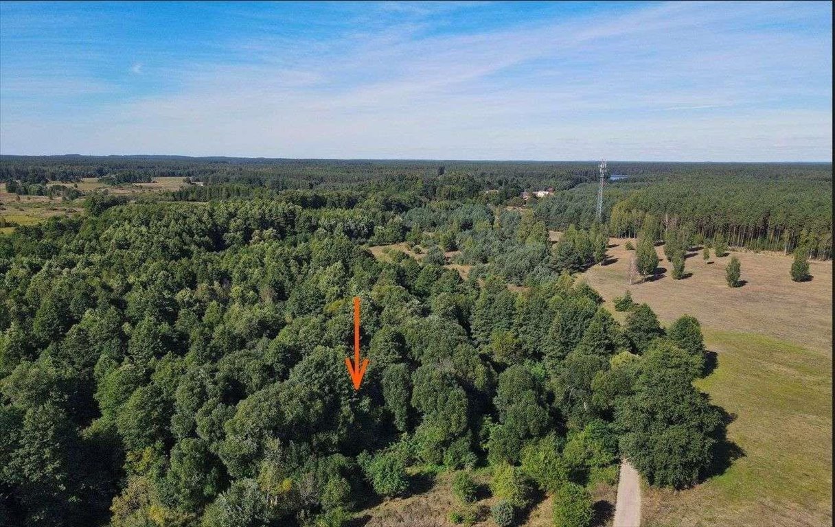 Działka rolna na sprzedaż Rekownica  3 002m2 Foto 3