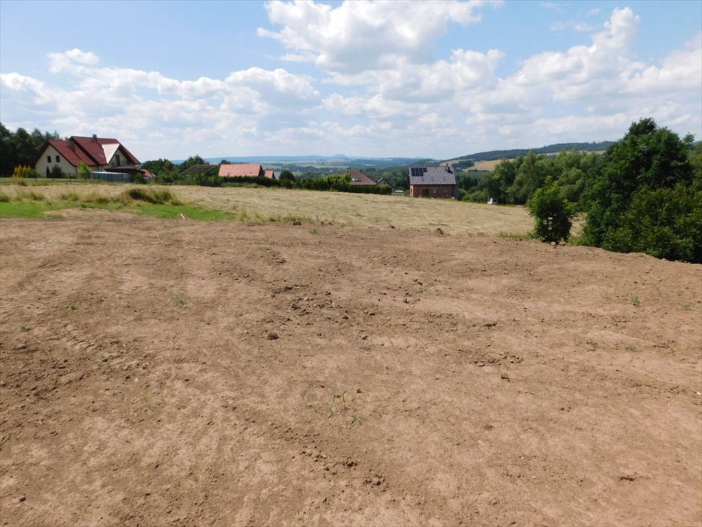 Działka budowlana na sprzedaż Boguszyn  2 000m2 Foto 1