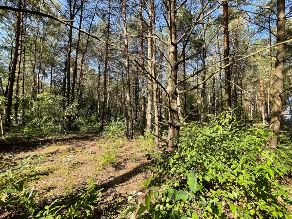 Działka rekreacyjna na sprzedaż Wólka-Wojciechówek, Topolowa  1 490m2 Foto 11