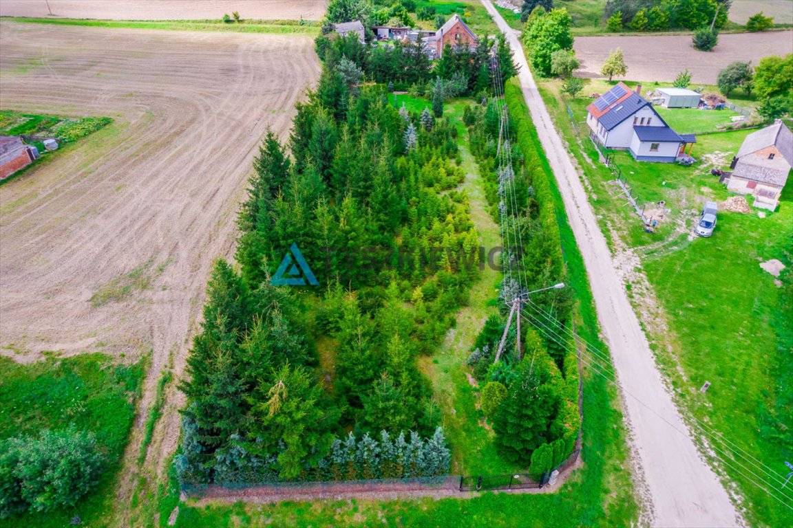 Działka budowlana na sprzedaż Włościbórz  3 000m2 Foto 9