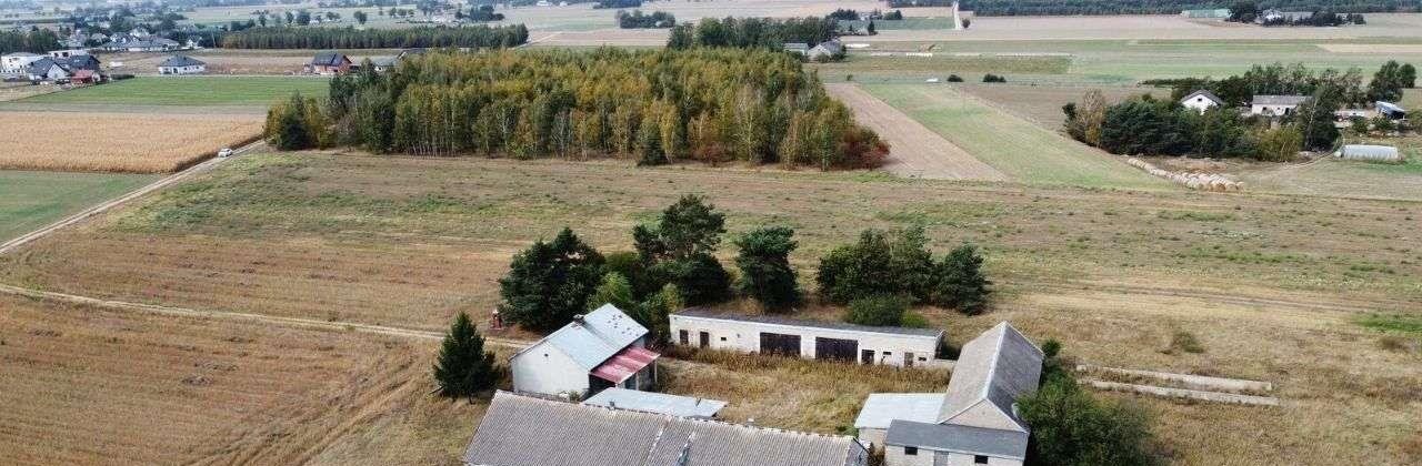 Działka budowlana na sprzedaż Staroźreby  15 900m2 Foto 7