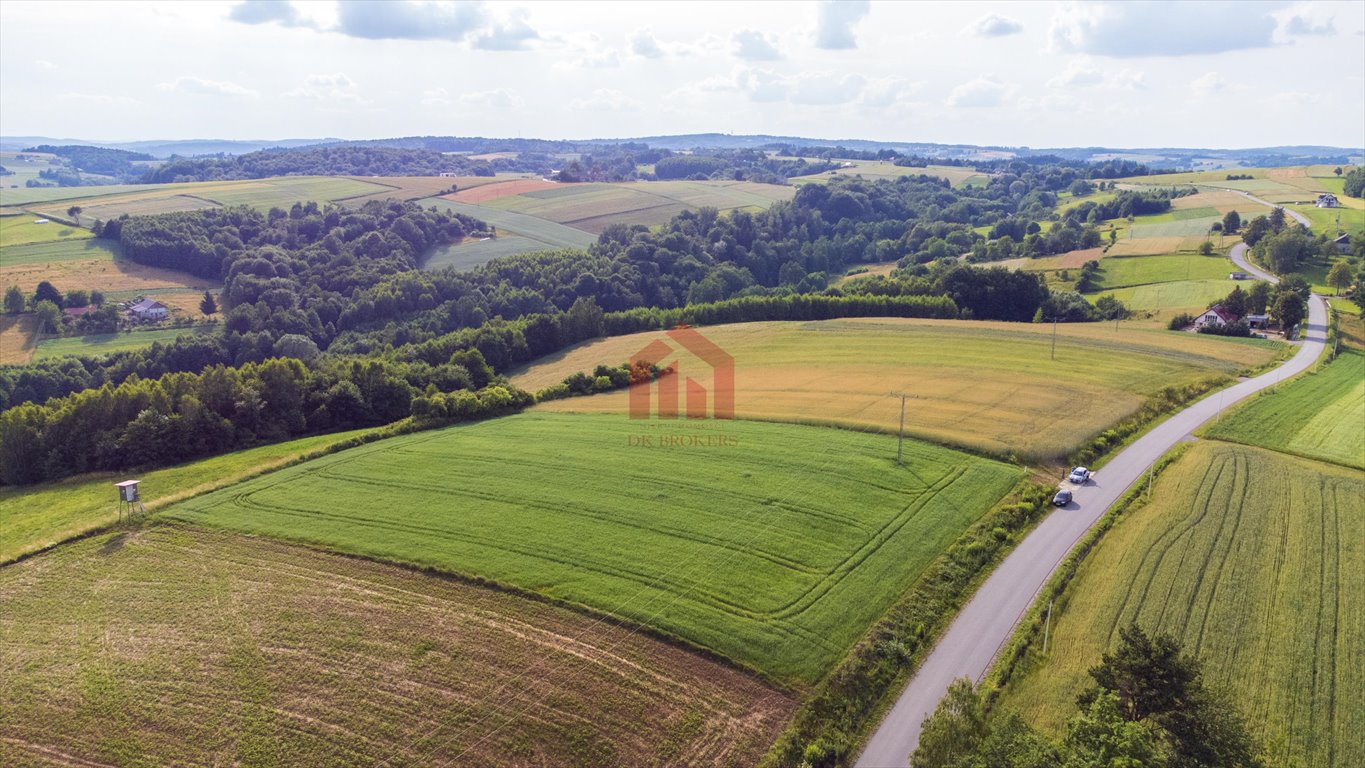 Działka budowlana na sprzedaż Wielopole Skrzyńskie  3 650m2 Foto 13