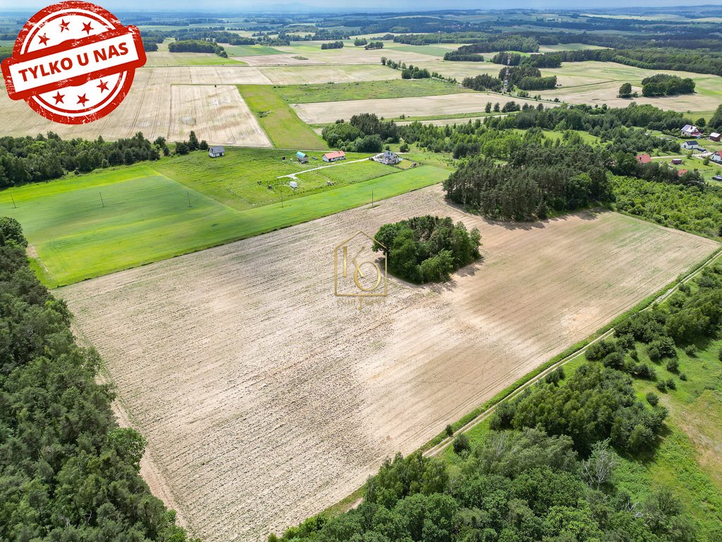 Działka budowlana na sprzedaż Niedary, Kamienna  70 000m2 Foto 2