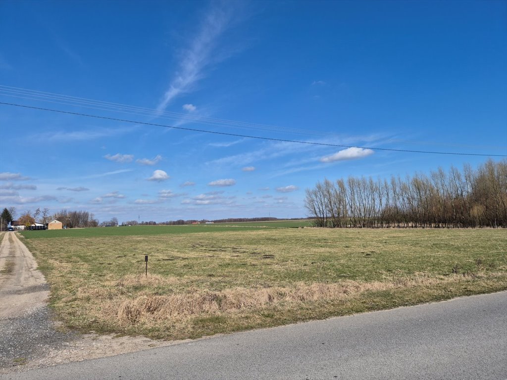 Działka 48 750 m² przy asfaltowej drodze, warunki zabudowy Nowe Wrońska  48 750m2 Foto 1