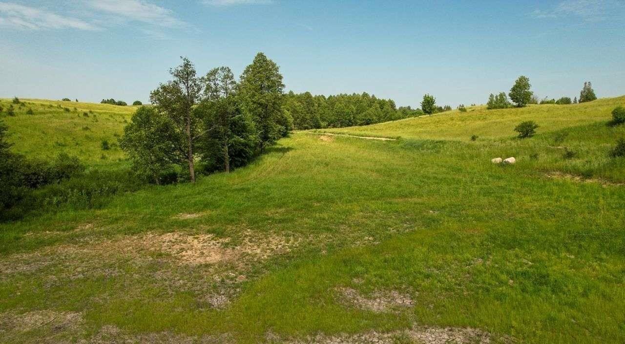 Działka rolna na sprzedaż Rogale  3 002m2 Foto 7