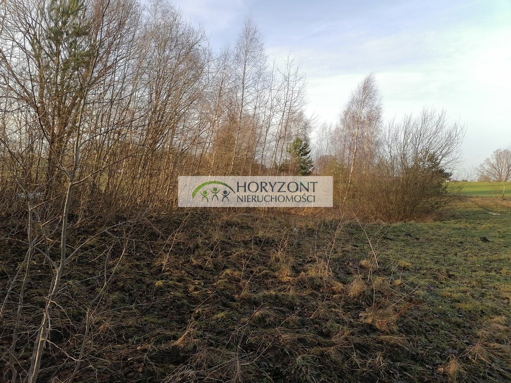 Działka 3623 m² pod zabudowę jednorodzinną, Szarłata Szarłata  3 623m2 Foto 1