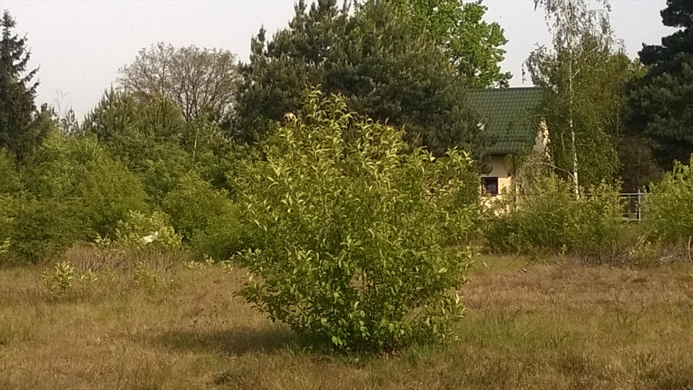 Działka budowlana na sprzedaż Józefów 1 290m2 Foto 1 Działka budowlana na sprzedaż Józefów 1 290m2 Foto 1
