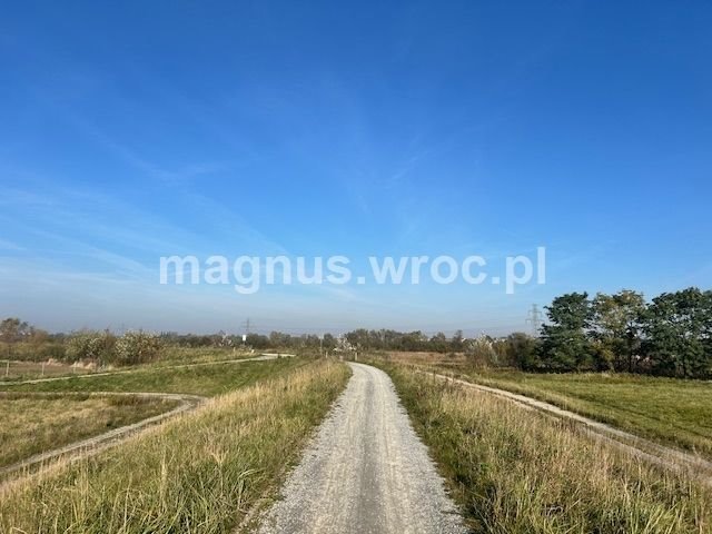 Działka rolna na sprzedaż Wrocław, Psie Pole, Kowale, boczna Lechitów  4 032m2 Foto 5