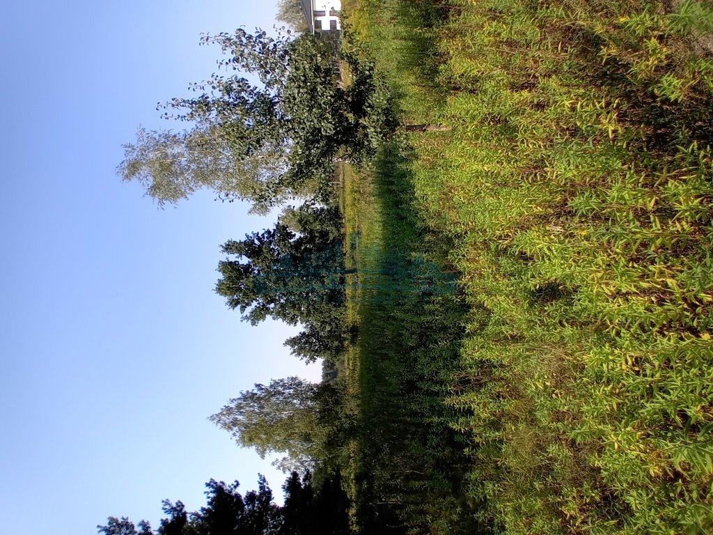 Działka budowlana na sprzedaż Izabelin-Dziekanówek  1 200m2 Foto 17