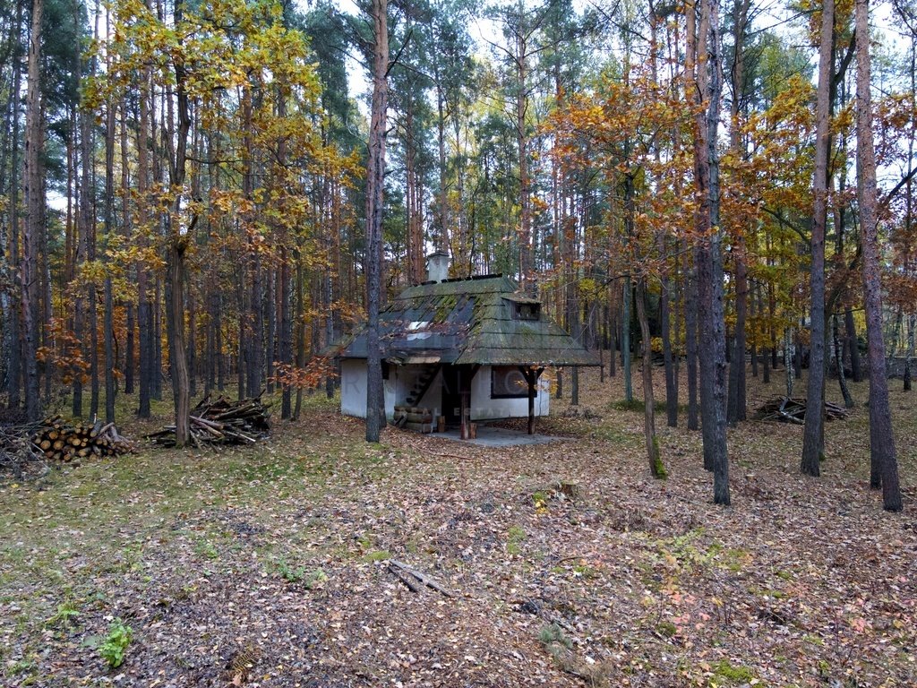 Działka inna na sprzedaż Warszawa, Wesoła, Stara Miłosna, Torfowa (1)  8 181m2 Foto 9