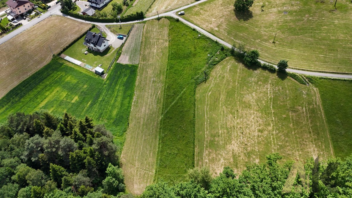 Działka budowlana na sprzedaż Przyszowa  2 300m2 Foto 6