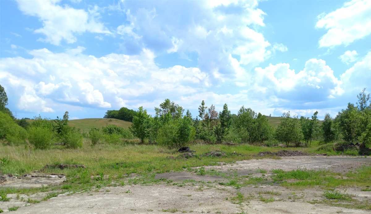 Działka budowlana na sprzedaż Chwaliszów, Chwaliszów  52 000m2 Foto 8