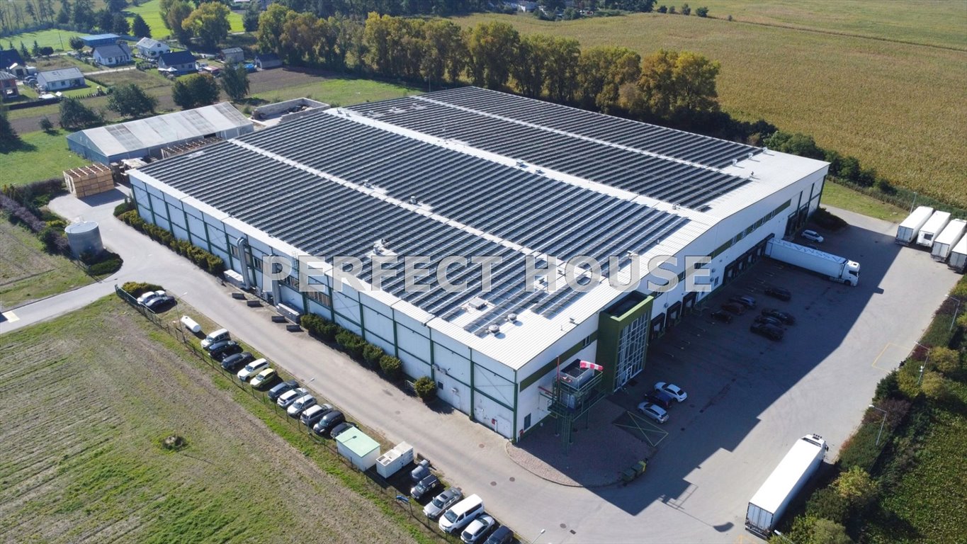Hala produkcyjno-magazynowa 11 000 m² - nowoczesny obiekt w Trzeku Trzek  10 846m2 Foto 1