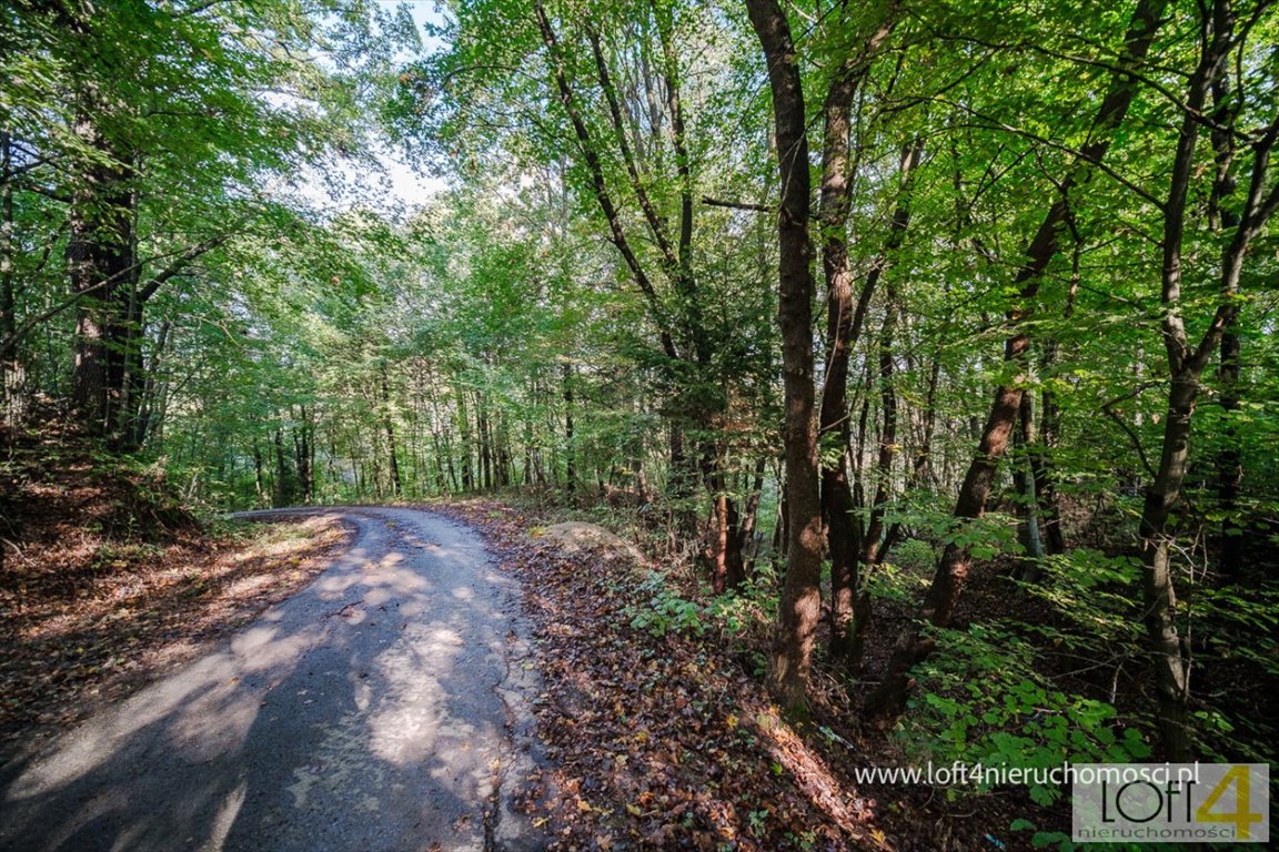 Dom na sprzedaż Dębowa  100m2 Foto 12