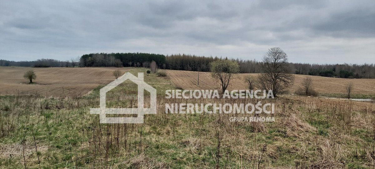 Działka budowlana 8800 m² z warunkami zabudowy, Borowina Borowina  8 800m2 Foto 1
